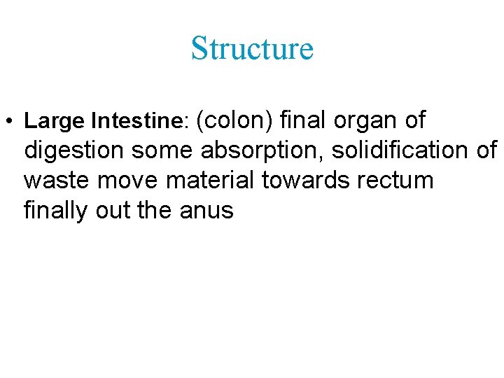 Structure • Large Intestine: (colon) final organ of digestion some absorption, solidification of waste