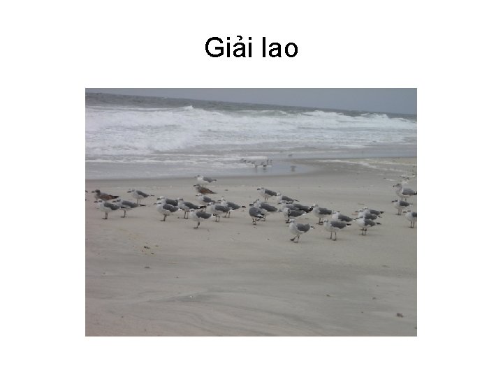 Giải lao 