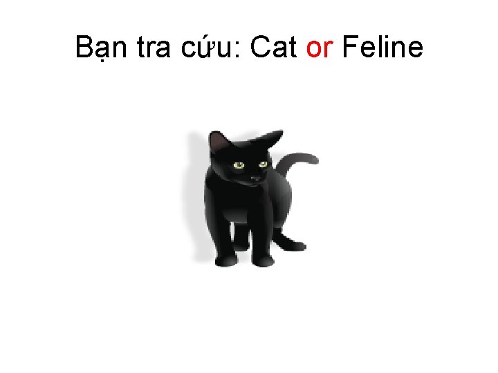 Bạn tra cứu: Cat or Feline 