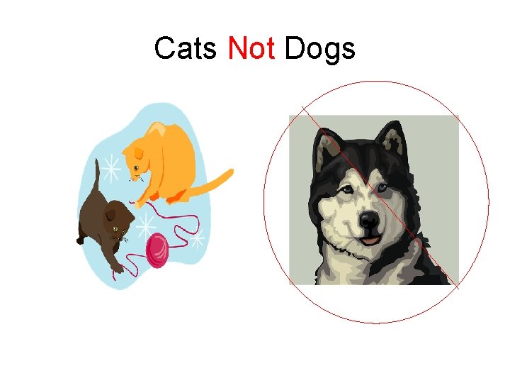 Cats Not Dogs 