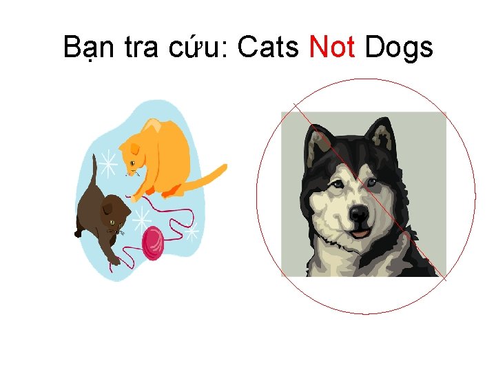 Bạn tra cứu: Cats Not Dogs 