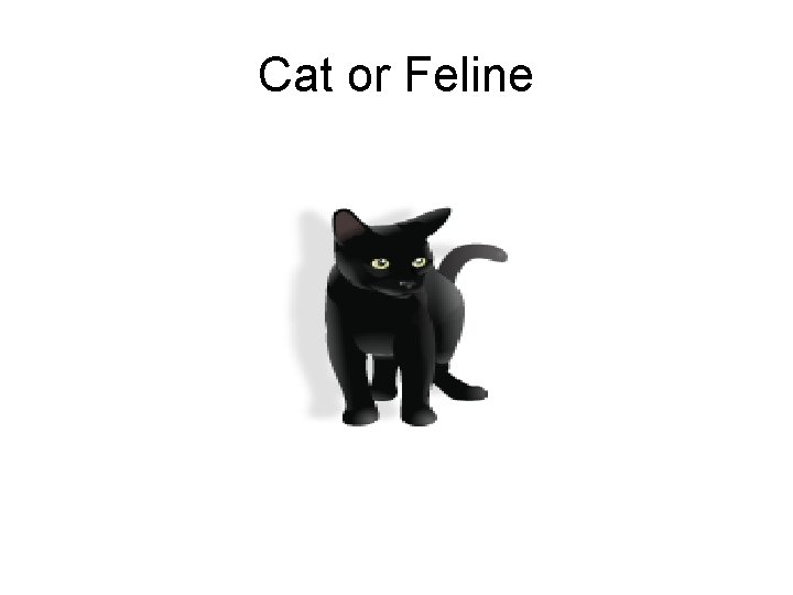 Cat or Feline 