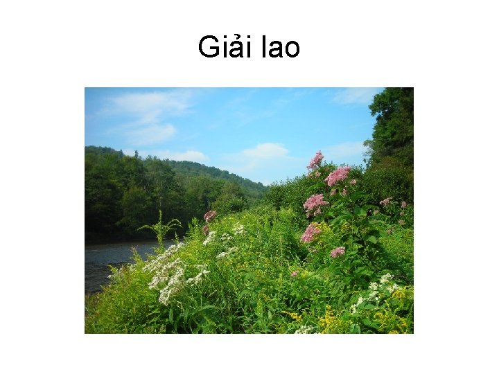 Giải lao 