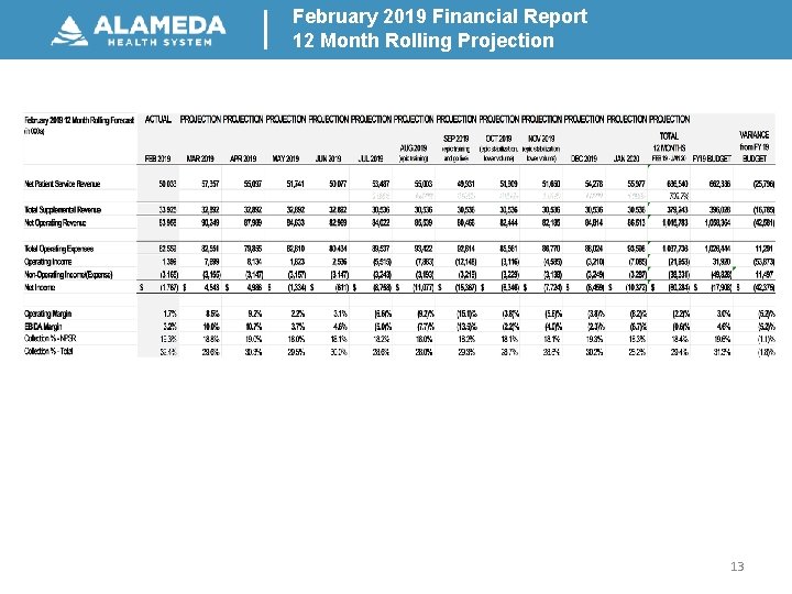 February 2019 Financial Report 12 Month Rolling Projection 13 