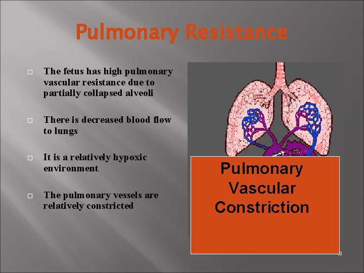 Pulmonary Resistance The fetus has high pulmonary vascular resistance due to partially collapsed alveoli