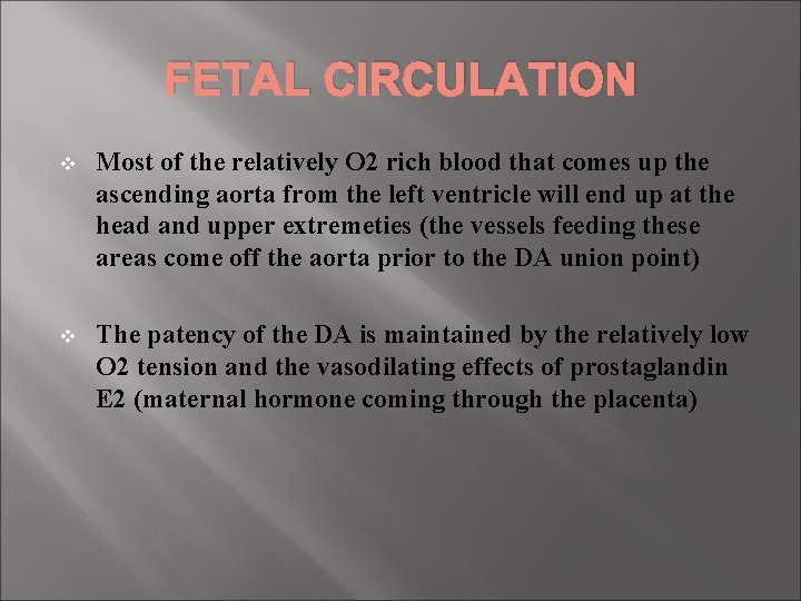 FETAL CIRCULATION v Most of the relatively O 2 rich blood that comes up