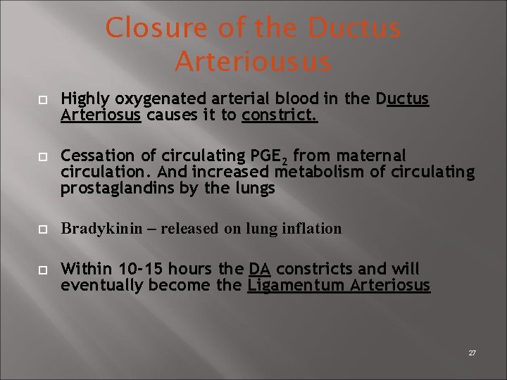 Closure of the Ductus Arteriousus Highly oxygenated arterial blood in the Ductus Arteriosus causes