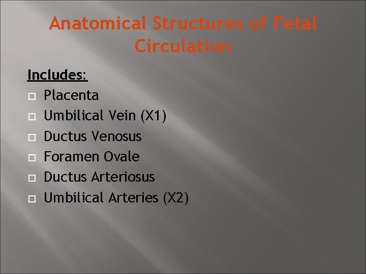 Anatomical Structures of Fetal Circulation Includes: Placenta Umbilical Vein (X 1) Ductus Venosus Foramen