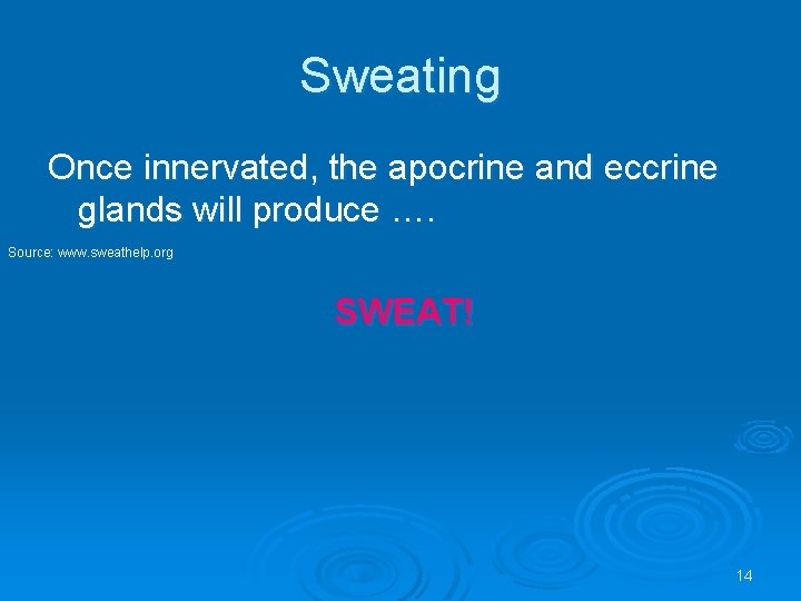 Sweating Once innervated, the apocrine and eccrine glands will produce …. Source: www. sweathelp.