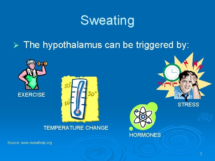 Sweating Ø The hypothalamus can be triggered by: EXERCISE STRESS TEMPERATURE CHANGE HORMONES Source: