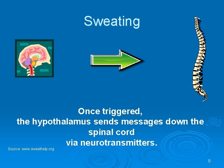 Sweating Once triggered, the hypothalamus sends messages down the spinal cord via neurotransmitters. Source: