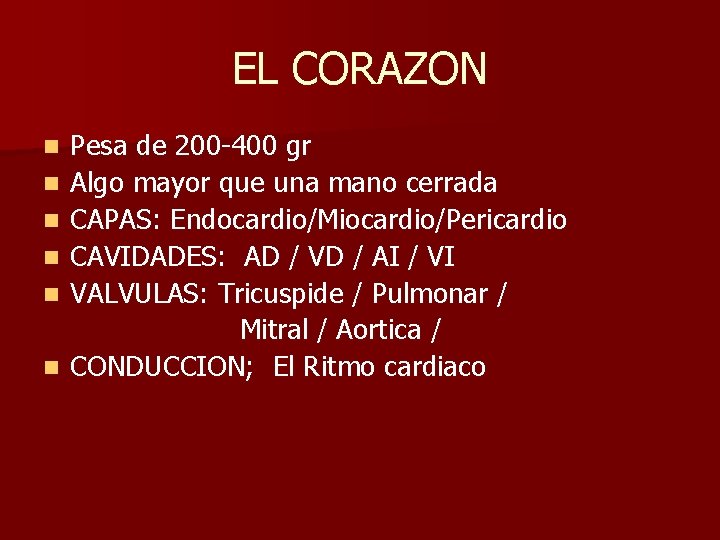 EL CORAZON n n n Pesa de 200 -400 gr Algo mayor que una