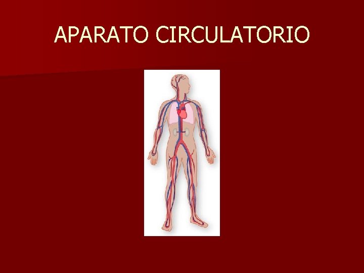 APARATO CIRCULATORIO 