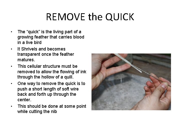 REMOVE the QUICK • • • The “quick” is the living part of a