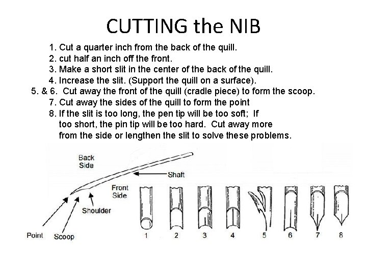 CUTTING the NIB 1. Cut a quarter inch from the back of the quill.