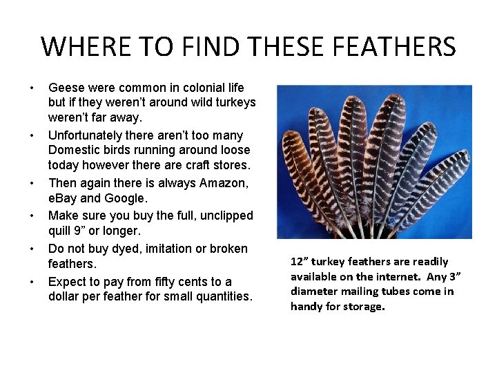 WHERE TO FIND THESE FEATHERS • • • Geese were common in colonial life