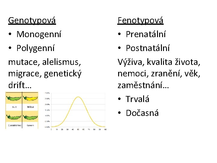 Genotypová • Monogenní • Polygenní mutace, alelismus, migrace, genetický drift… Fenotypová • Prenatální •