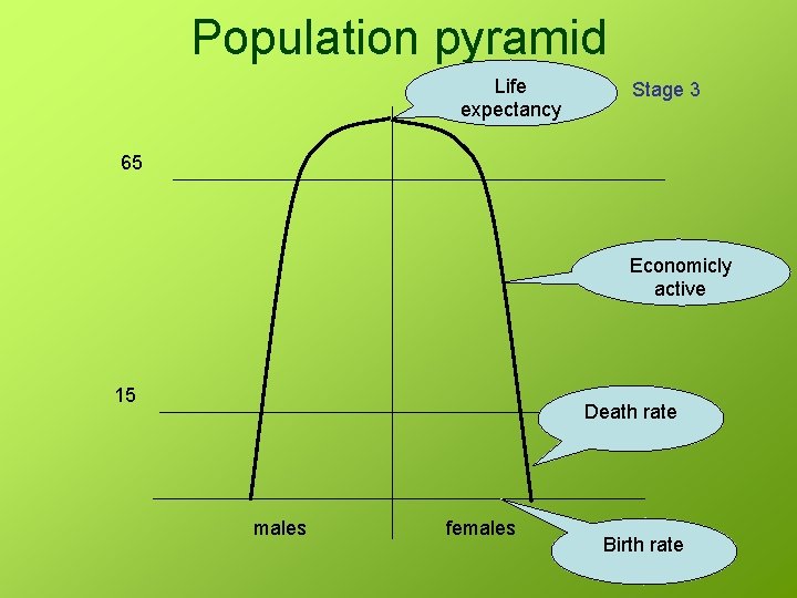 Population pyramid Life expectancy Stage 3 65 Economicly active 15 Death rate males females