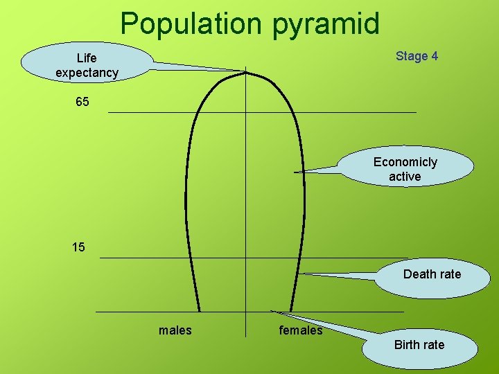 Population pyramid Stage 4 Life expectancy 65 Economicly active 15 Death rate males females