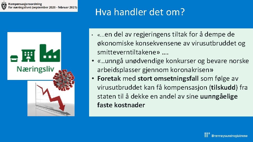 Hva handler det om? • «…en del av regjeringens tiltak for å dempe de