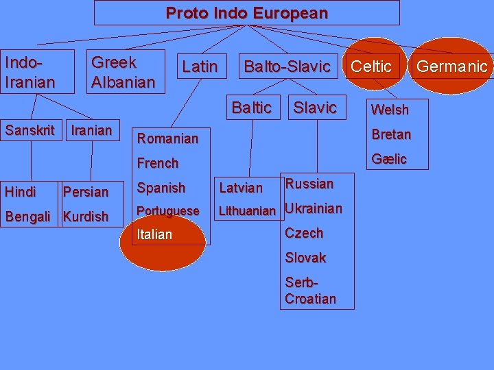 Proto Indo European Indo. Iranian Greek Albanian Latin Balto-Slavic Baltic Sanskrit Hindi Iranian Persian