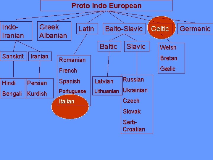 Proto Indo European Indo. Iranian Greek Albanian Latin Balto-Slavic Baltic Sanskrit Hindi Iranian Persian