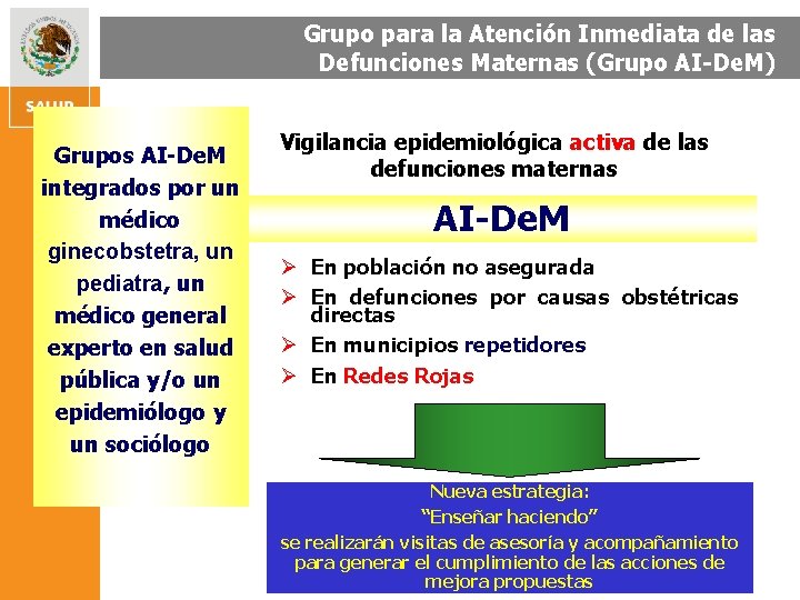 Grupo para la Atención Inmediata de las Defunciones Maternas (Grupo AI-De. M) Grupos AI-De.