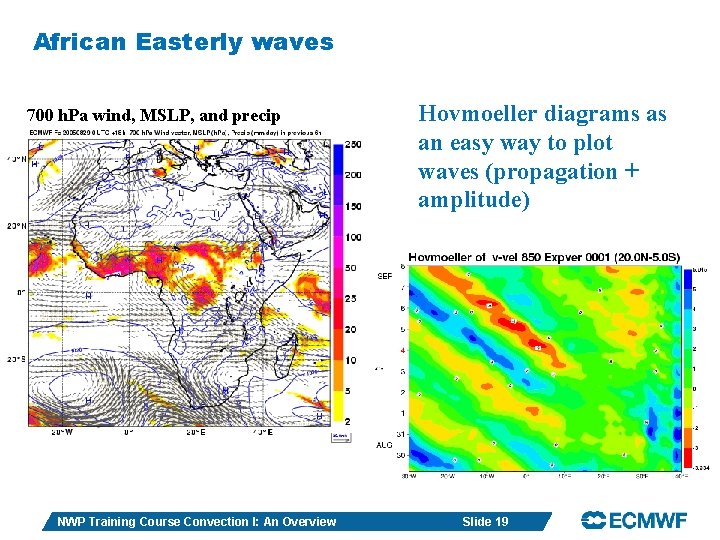African Easterly waves 700 h. Pa wind, MSLP, and precip NWP Training Course Convection