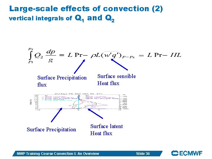 Large-scale effects of convection (2) vertical integrals of Q 1 and Q 2 Surface