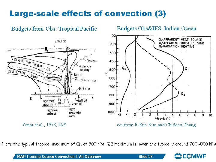 Large-scale effects of convection (3) Budgets from Obs: Tropical Pacific Yanai et al. ,