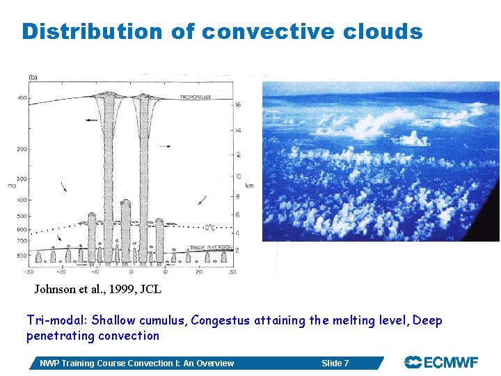 Distribution of convective clouds Johnson et al. , 1999, JCL Tri-modal: Shallow cumulus, Congestus