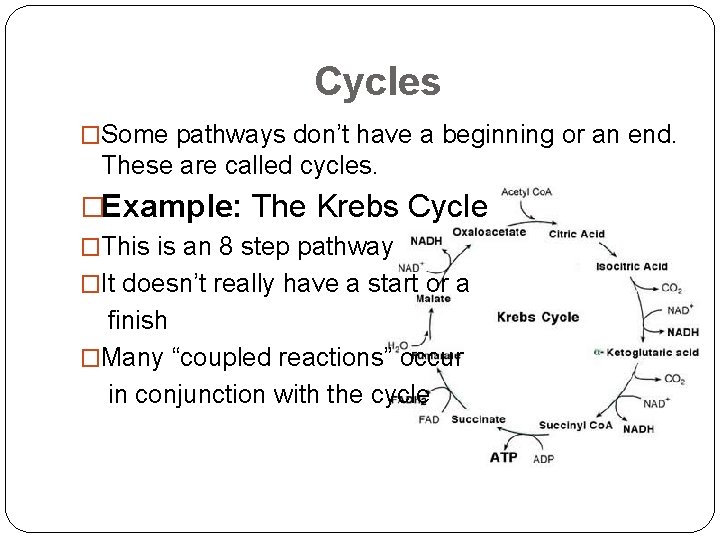 Cycles �Some pathways don’t have a beginning or an end. These are called cycles.