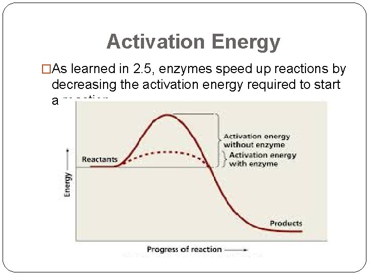 Activation Energy �As learned in 2. 5, enzymes speed up reactions by decreasing the