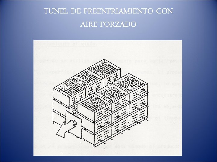 TUNEL DE PREENFRIAMIENTO CON AIRE FORZADO 