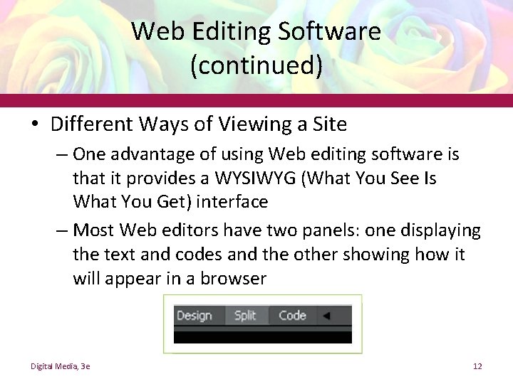 Web Editing Software (continued) • Different Ways of Viewing a Site – One advantage