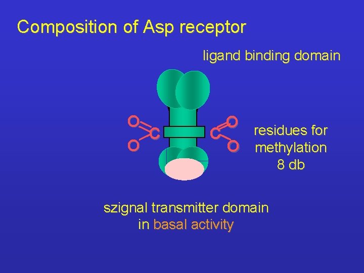 Composition of Asp receptor ligand binding domain O C O O residues for C