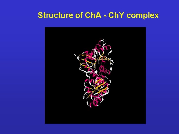 Structure of Ch. A - Ch. Y complex 