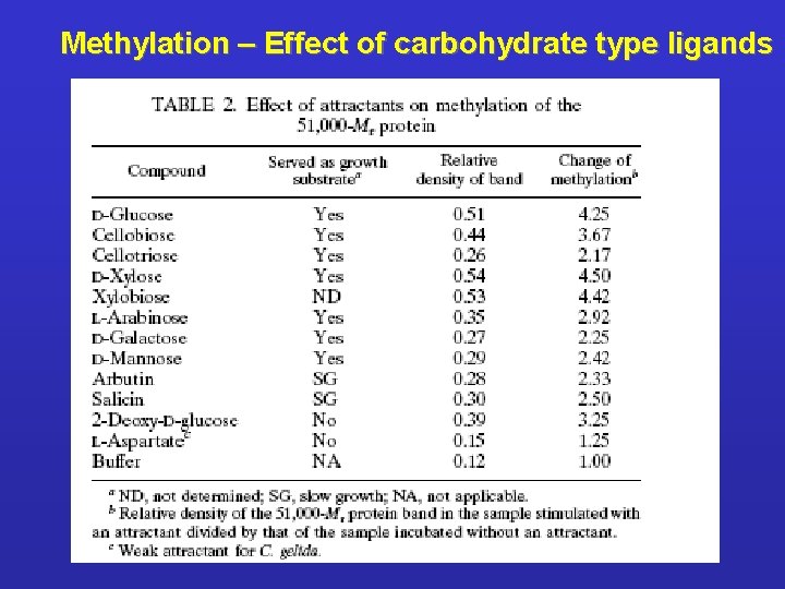 Methylation – Effect of carbohydrate type ligands 