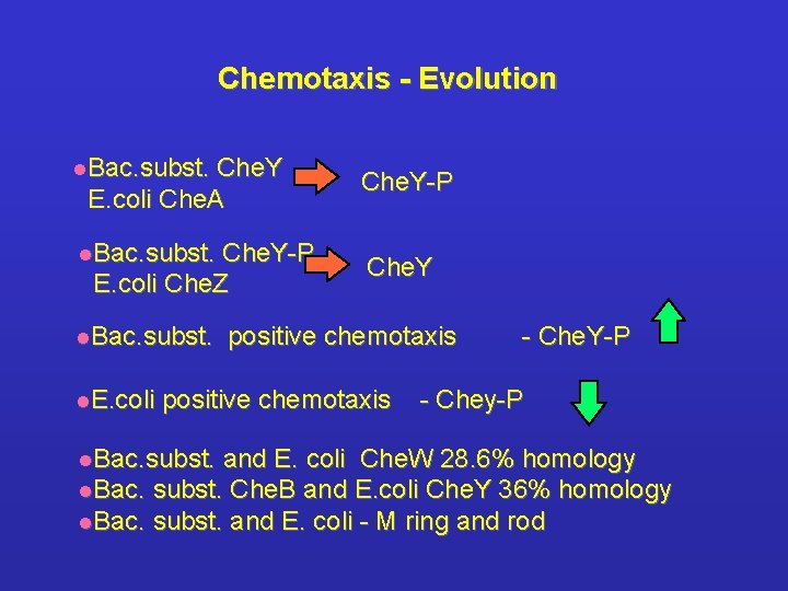 Chemotaxis - Evolution l. Bac. subst. Che. Y E. coli Che. A l. Bac.