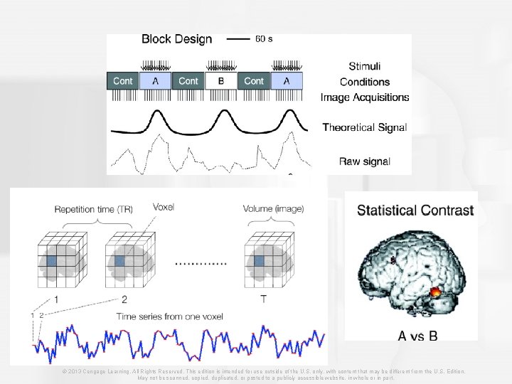 © 2013 Cengage Learning. All Rights Reserved. This edition is intended for use outside