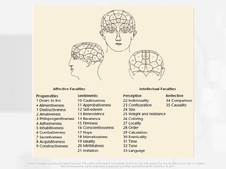© 2013 Cengage Learning. All Rights Reserved. This edition is intended for use outside