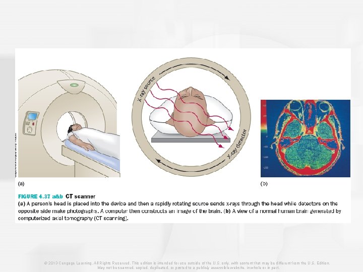 © 2013 Cengage Learning. All Rights Reserved. This edition is intended for use outside