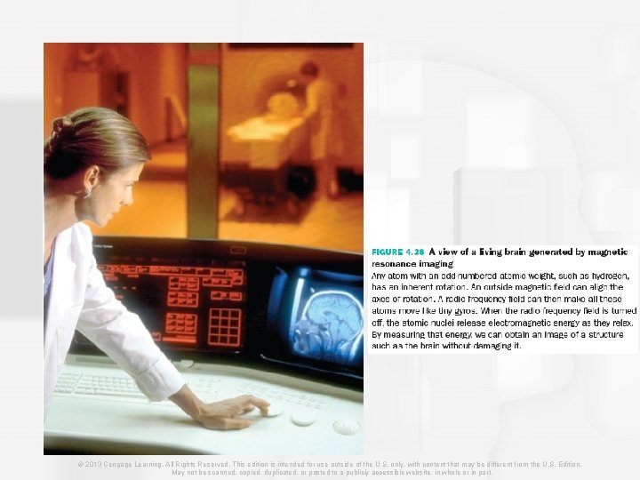 © 2013 Cengage Learning. All Rights Reserved. This edition is intended for use outside