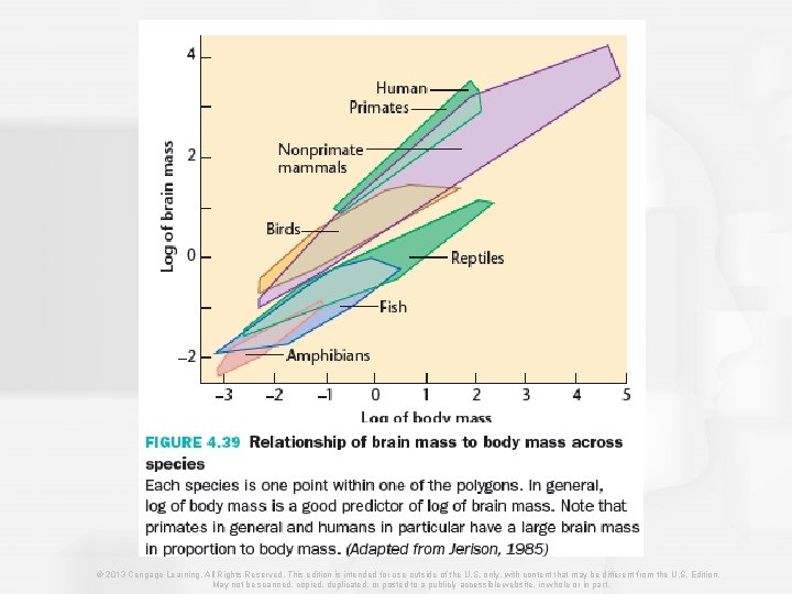 © 2013 Cengage Learning. All Rights Reserved. This edition is intended for use outside