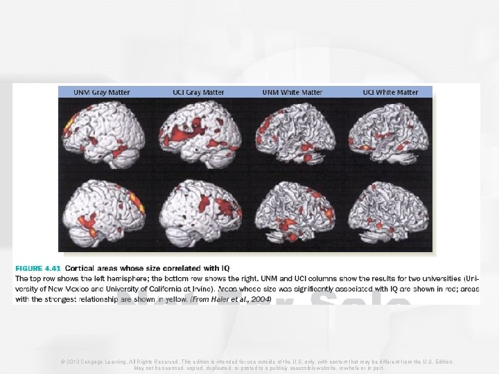 © 2013 Cengage Learning. All Rights Reserved. This edition is intended for use outside