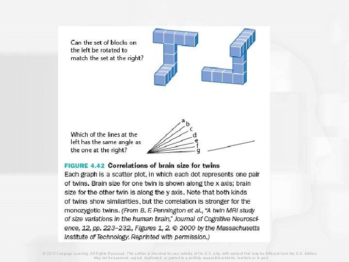 © 2013 Cengage Learning. All Rights Reserved. This edition is intended for use outside