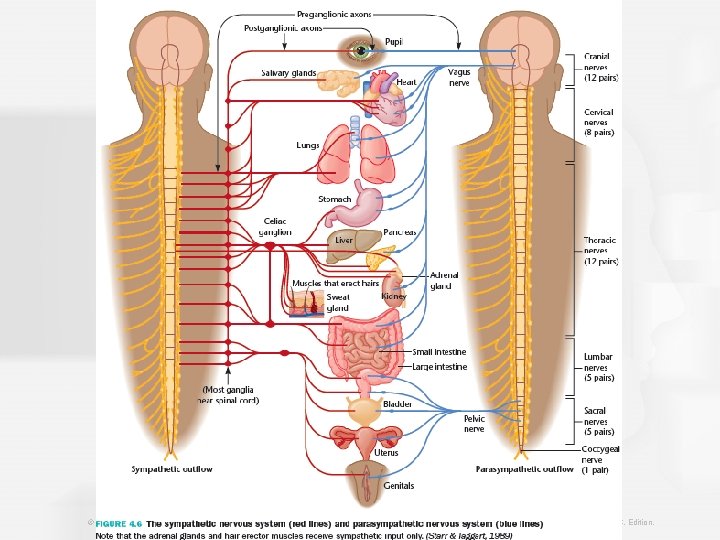 © 2013 Cengage Learning. All Rights Reserved. This edition is intended for use outside