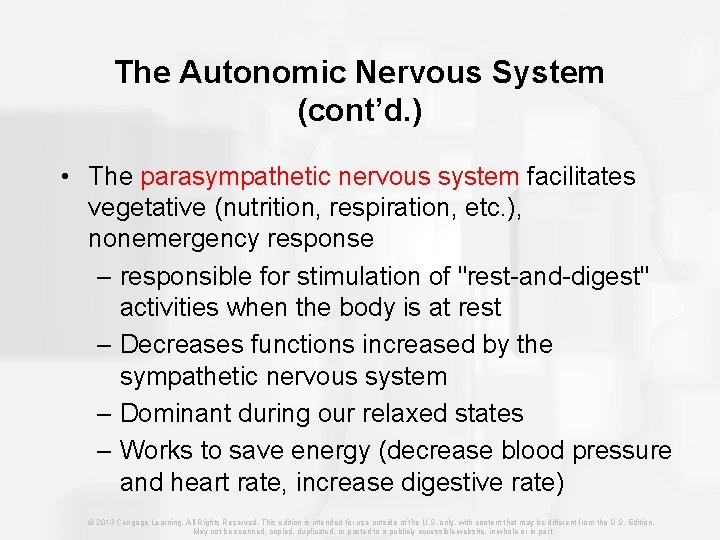 The Autonomic Nervous System (cont’d. ) • The parasympathetic nervous system facilitates vegetative (nutrition,