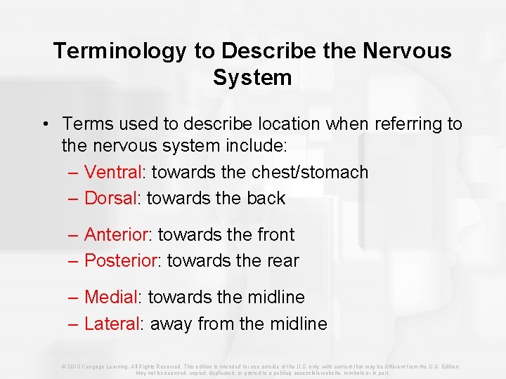 Terminology to Describe the Nervous System • Terms used to describe location when referring