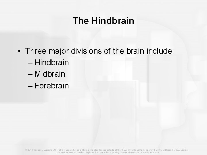 The Hindbrain • Three major divisions of the brain include: – Hindbrain – Midbrain
